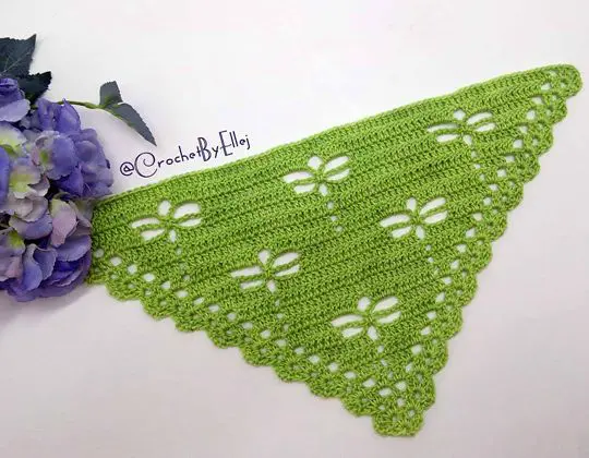 Crochet Dragonfly shawlette free pattern